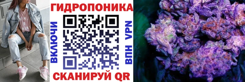 Бошки марихуана White Widow  как найти закладки  Новый Оскол 
